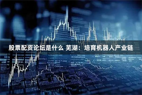 股票配资论坛是什么 芜湖：培育机器人产业链
