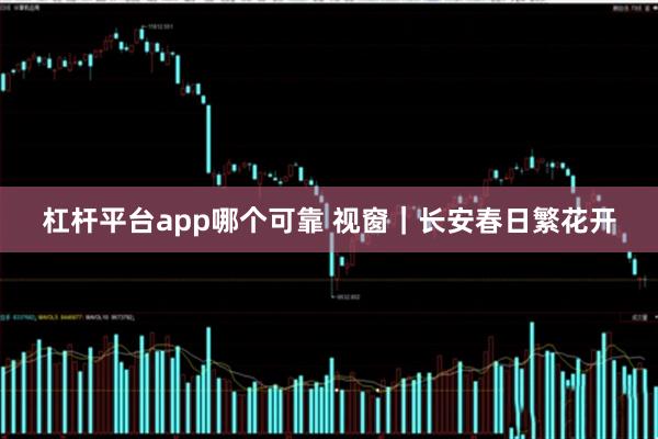 杠杆平台app哪个可靠 视窗｜长安春日繁花开