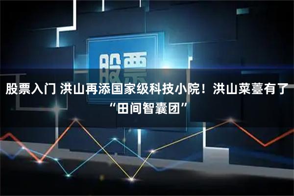 股票入门 洪山再添国家级科技小院！洪山菜薹有了“田间智囊团”